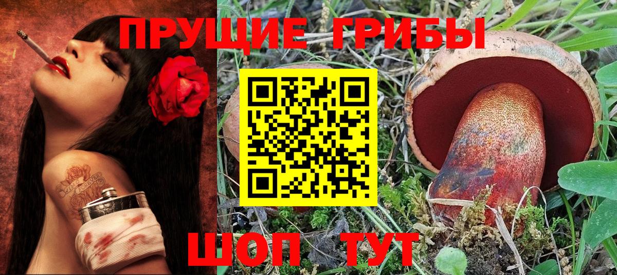 Шали  Галлюциногенные грибы Psilocybe  Вход с VPN 
